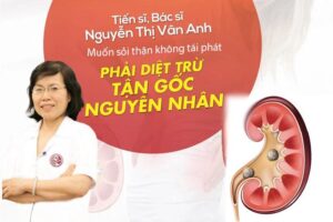 Lợi Ích Khi Sử Dụng Đả Thạch Vương Điều Trị Sỏi Thận