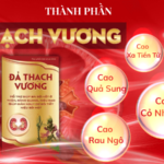 Giới Thiệu Đả Thạch Vương: Phương Pháp Hiện Đại Trị Sỏi