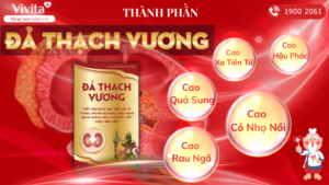 Giới Thiệu Đả Thạch Vương: Phương Pháp Hiện Đại Trị Sỏi